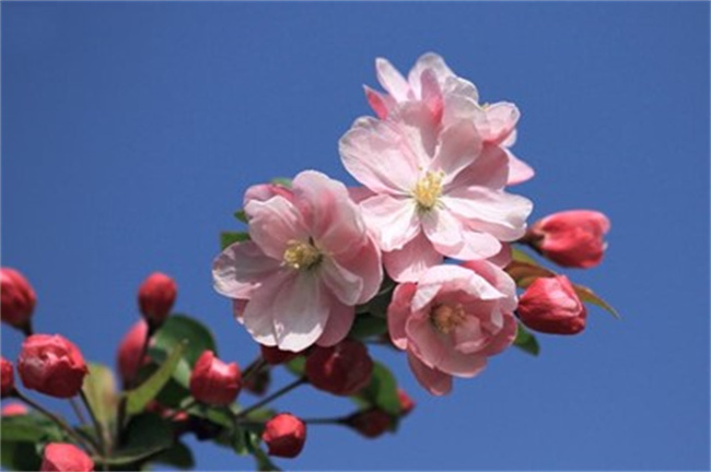 Picture4
