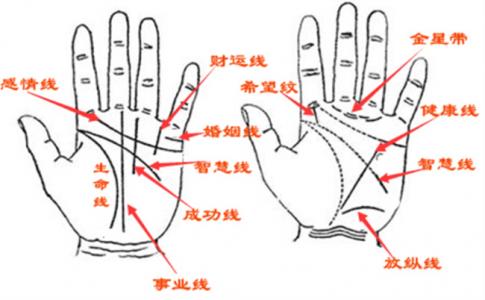 命运线很长代表什么意思（不同形状命运线命运如何）