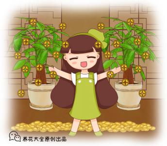 镇宅又聚财的花:六种植物招财又旺宅